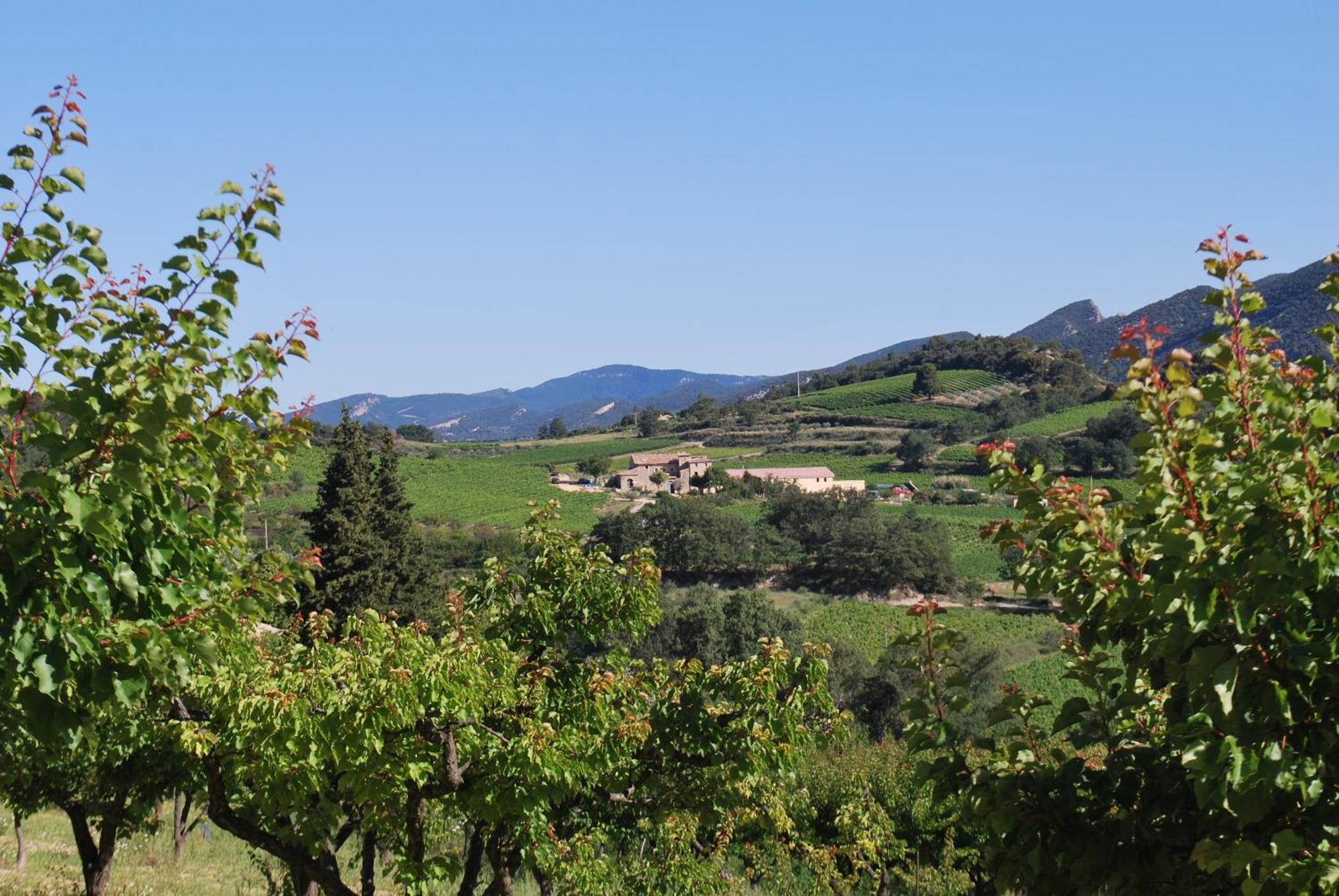 Bed and Breakfast Domaine De Provensol Venterol  Екстер'єр фото