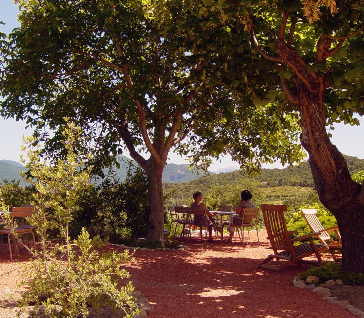 Bed and Breakfast Domaine De Provensol Venterol  Екстер'єр фото