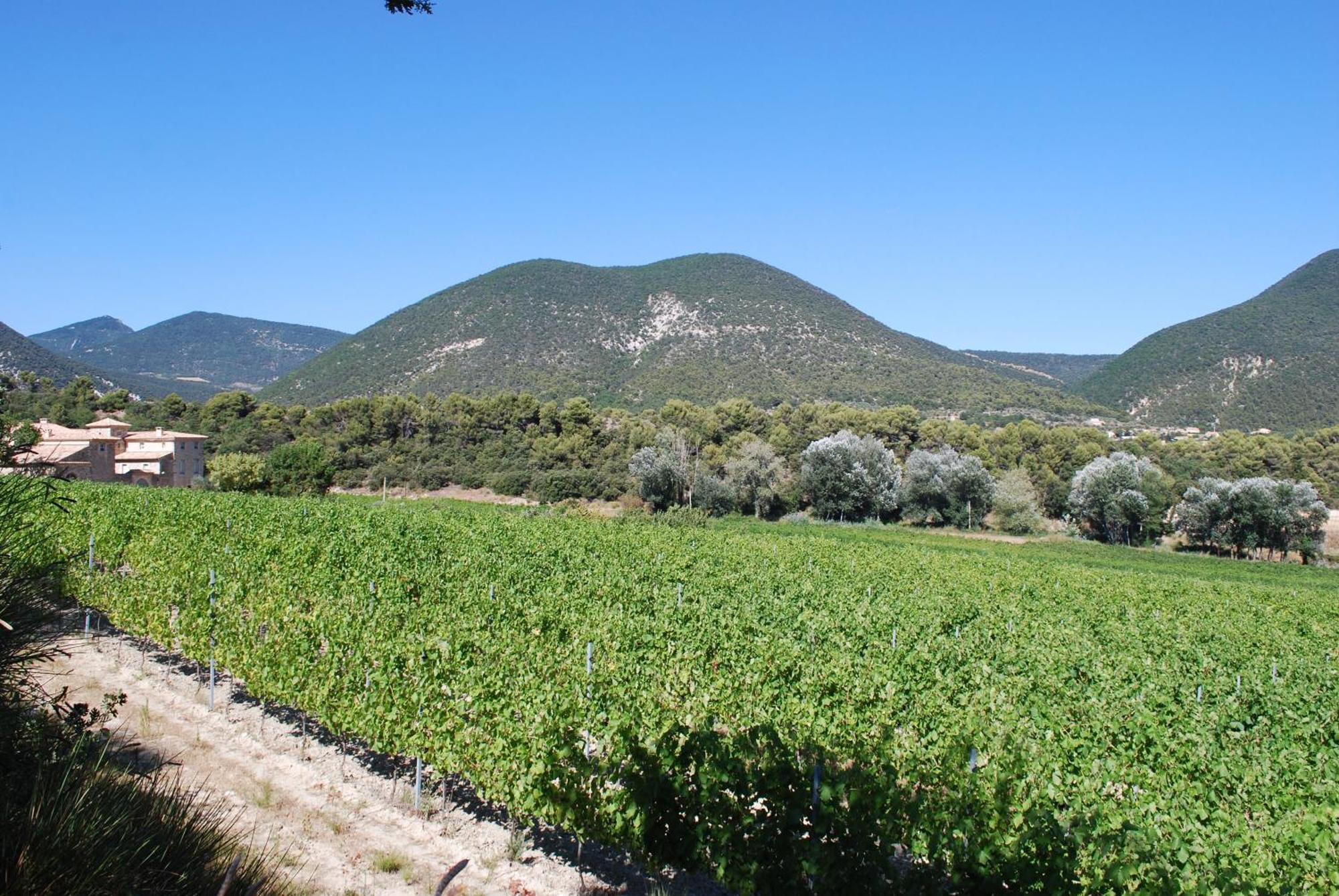 Bed and Breakfast Domaine De Provensol Venterol  Екстер'єр фото