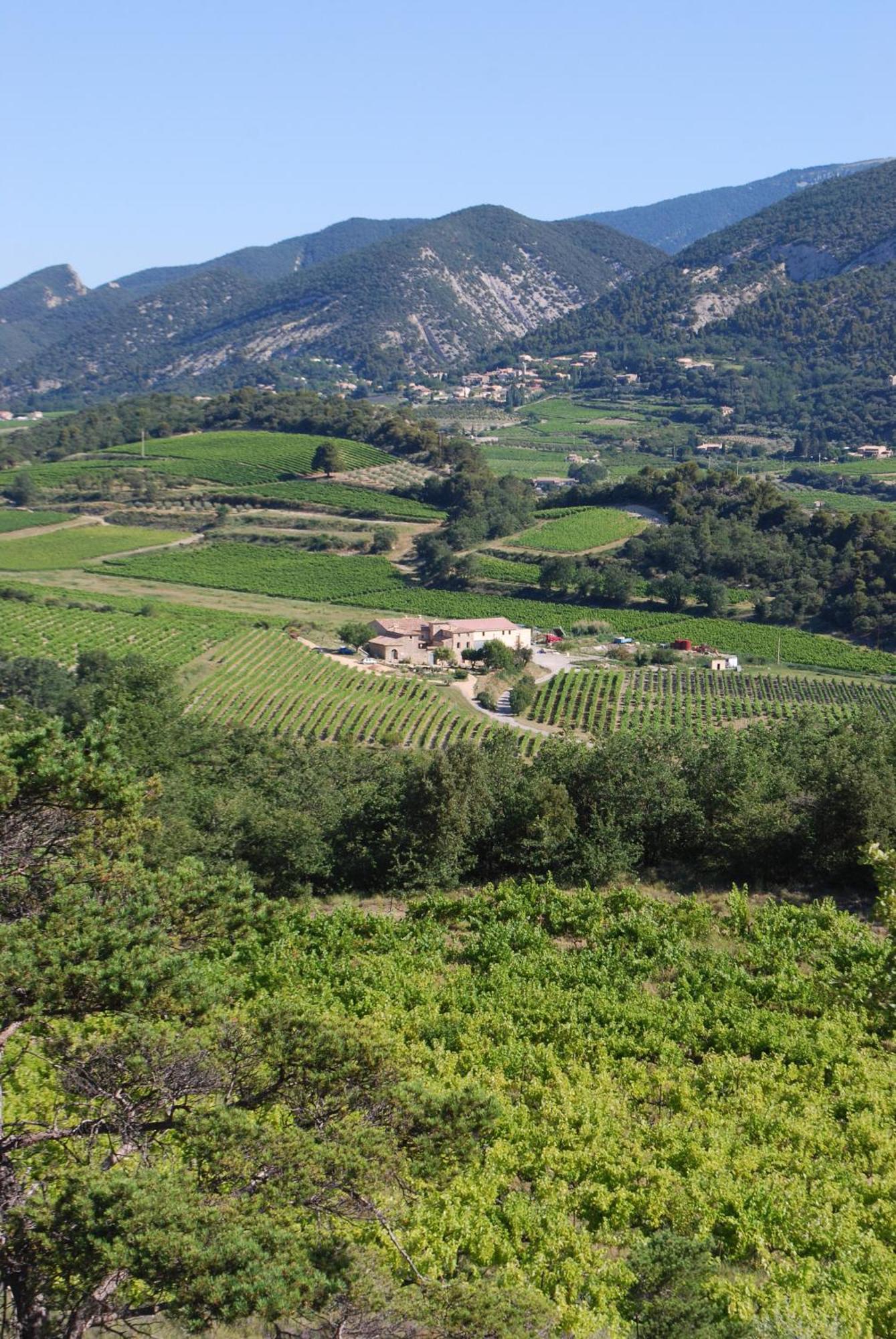Bed and Breakfast Domaine De Provensol Venterol  Екстер'єр фото