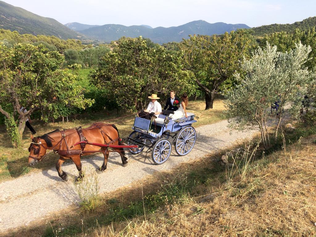 Bed and Breakfast Domaine De Provensol Venterol  Екстер'єр фото